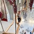 IMG 1538